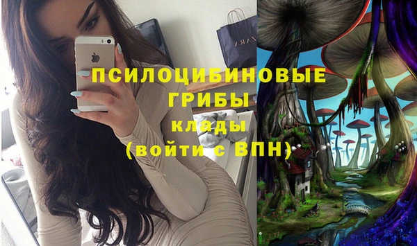 кокс Лагань