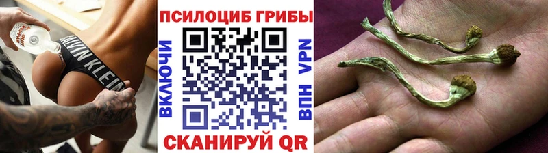 Купить  Чухлома  Псилоцибиновые грибы мухоморы 